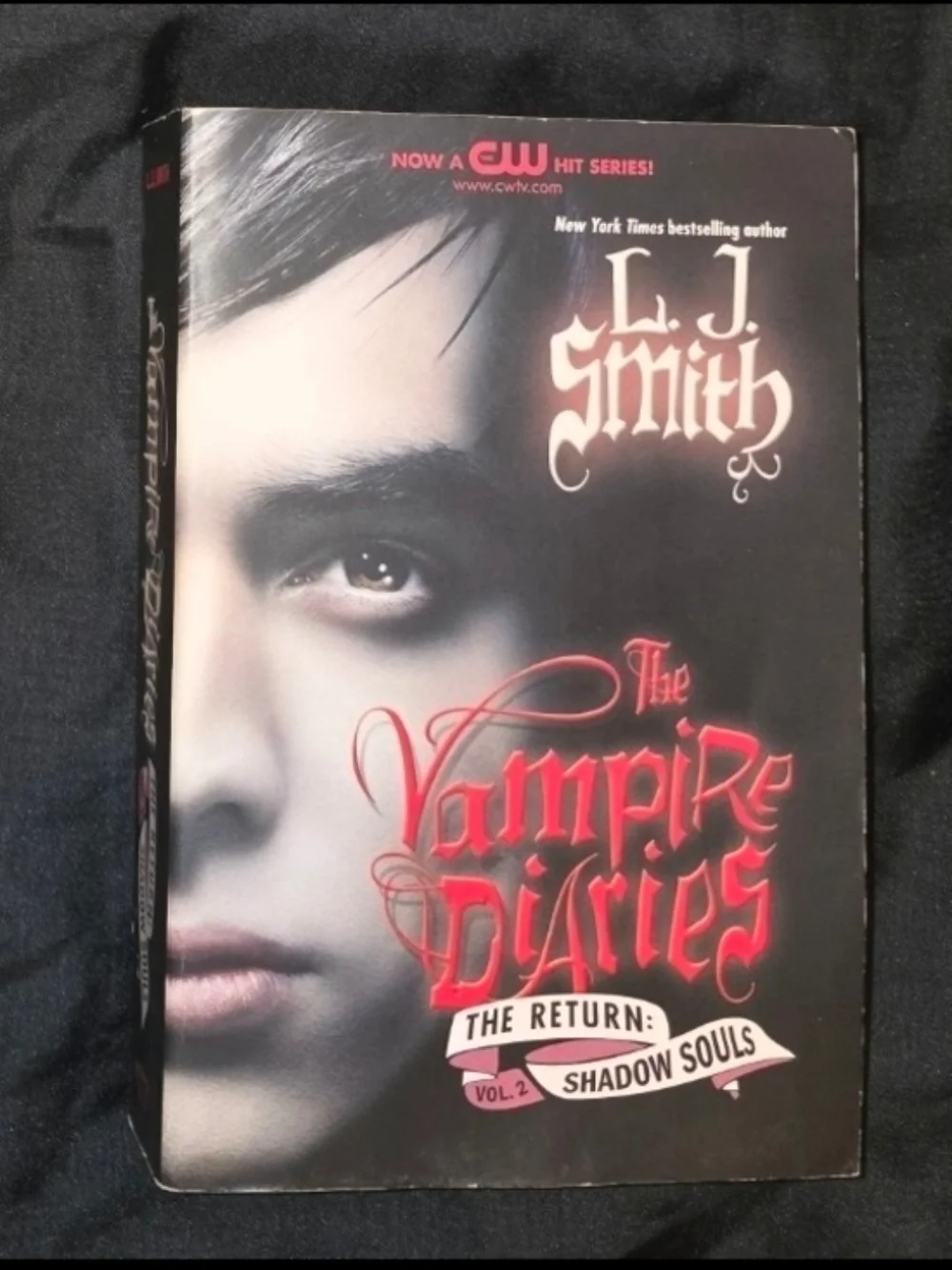 (4 For $20) The Vampire Diaries 6 By L. J. Smith Paperback